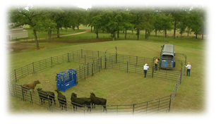 BBCS 1 Bud Box Corral System For 100 Head